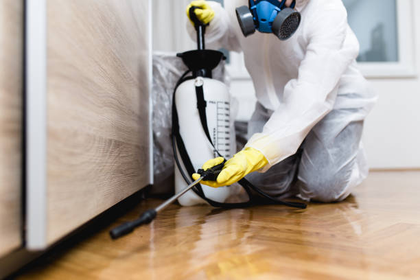 Best Local Pest Control Services  in Lowell, AR