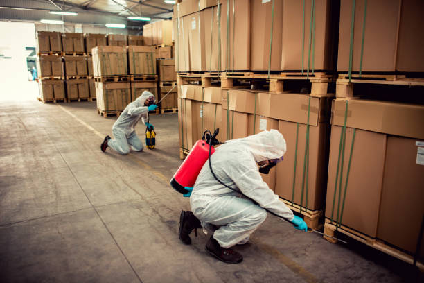 Best Pest Control Near Me  in Lowell, AR