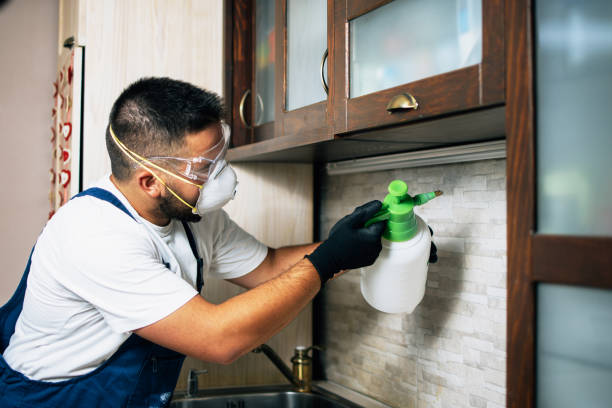 Best Affordable Exterminators  in Lowell, AR