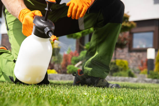 Best Rat Extermination Near Me  in Lowell, AR