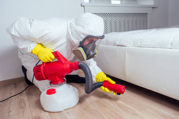 Best Bed Bug Extermination  in Lowell, AR