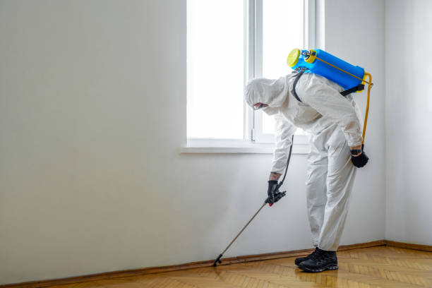 Best Mosquito Control Services  in Lowell, AR
