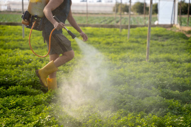 Best Residential Pest Control  in Lowell, AR