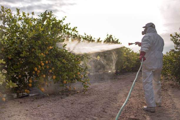 Best Cockroach Control Services  in Lowell, AR