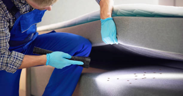 Best Flea Control Services  in Lowell, AR