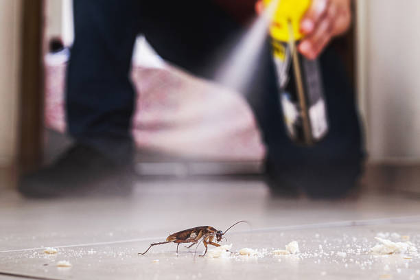 Best Rodent Control Near Me  in Lowell, AR
