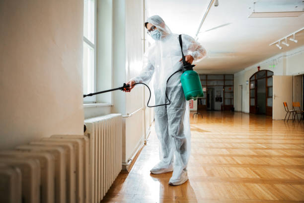 Best Emergency Pest Control  in Lowell, AR