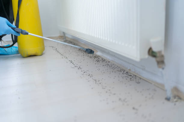 Best Insect Control  in Lowell, AR