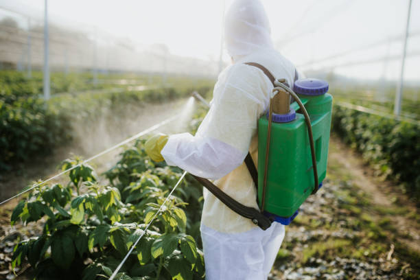 Best Pest Prevention Services  in Lowell, AR